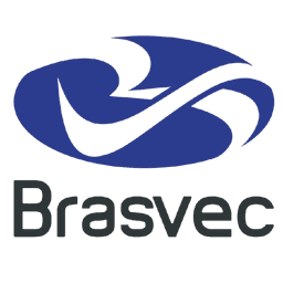Brasvec